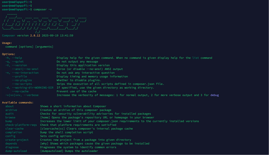 Проверка работы composer